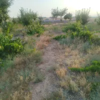 فروش زمین باغ ۱۴۰۰ متری حاشیه خادم آباد|فروش زمین و ملک کلنگی|مشهد, شهرک شهید باهنر|دیوار