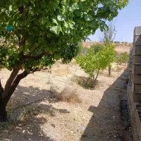 فروش خانه ویلایی در کودیان|فروش خانه و ویلا|شیراز, قلات|دیوار