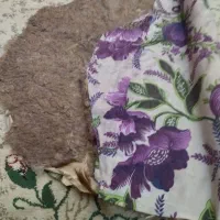 پادری پوست گوسفند