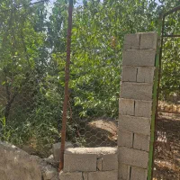 فروش زمین ۵هزارمتری آب کشاورزی مزرعه کمال|فروش دفتر صنعتی، کشاورزی، تجاری|کرج, کمال‌شهر|دیوار
