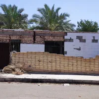 ملک تک برگ سند