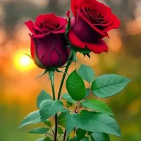 فروش تلفن خط ثابت