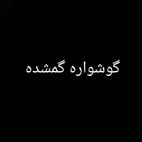 گوشواره حلقه ای گمشده