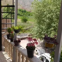 سوئیت اجاره ای در روستای ارتکند