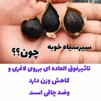 سیرسیاه فراوری شده نمایندگی رسمی پراز خواص درمانی