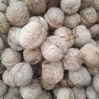 گردو ال شده تازه