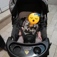 کالسکه دلیجان درحدنو