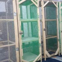 کفتر تک فروشی و جفت کن|لوازم جانبی حیوانات|تهران, شهرک رضویه|دیوار