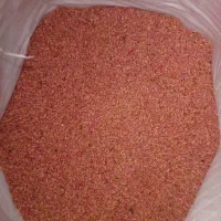 گندم بزر سرداری