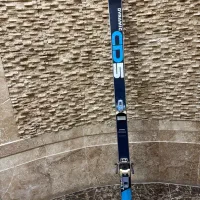 چوب اسکی آلپاین