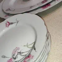 گل میخک ژاپنی قدیمی