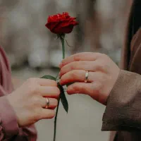 دفتر ازدواج دائم و موقت