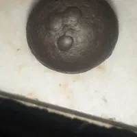 سنگ|کلکسیون اشیاء عتیقه|خمینی‌شهر, |دیوار