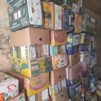 کارتون موزی