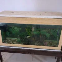 لوازم خانه  ک تزیینی