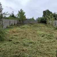 کدنیک۱/زمین۳۰۰متربامجوزمسکونی رشت کوچصفهان معلمساز|فروش زمین و ملک کلنگی|خشکبیجار, |دیوار