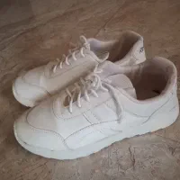 کتانی سایز ۳۹