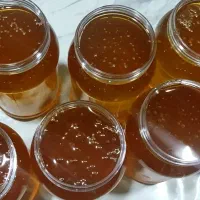 عسل طبیعی ضامن .به شرط ازمایش.ساکاروز زیر 3درصد