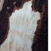 پرده پذیرای