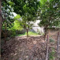 اجاره ویلا سوئیت  ساحلی
