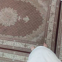 فرش و میز تلویزیون|فرش|زنجان, |دیوار