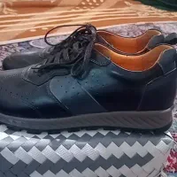 حراج تعدادی کفش مردانه  -