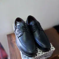 کفش چرمی|کیف، کفش، کمربند|اهر, |دیوار