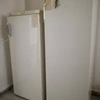 وسایل خانه|فرش|مسجد سلیمان, |دیوار