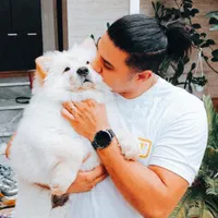 مربی سگ خانگی و کوچک۱۰۰٪ تضمینی / آموزش سگ