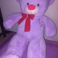 خرس بنفش