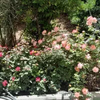 ۲۰۰ متر فول بازسازی