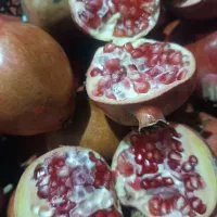 انار جهت رب انار موجود|خوردنی و آشامیدنی|ششطراز, |دیوار