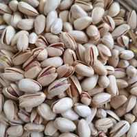 پسته اکبری|خوردنی و آشامیدنی|قم, شهر قائم|دیوار