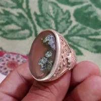 شجر|جواهرات|سمنان, |دیوار