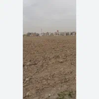 زمین چغابدار