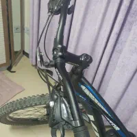 دوچرخه ویوا viva|دوچرخه، اسکیت، اسکوتر|پرند, فاز ۶|دیوار