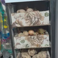 جا سیب زمینی و پیاز