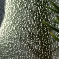 تابلو دکوراتیو زنده پتینه کاری شده|تابلو، نقاشی، عکس|تهران, طرشت|دیوار