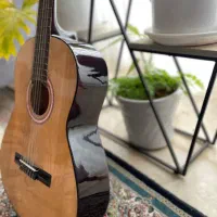 گیتار اشنایدر مدلGTO-170