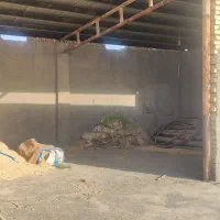 اجاره ۱۰۰۰ متری قم شهر قنوات بحر جاده 35متری|اجارهٔ دفتر صنعتی، کشاورزی، تجاری|قم, بقیع|دیوار