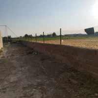 گلخانه فروشی|فروش دفتر صنعتی، کشاورزی، تجاری|پاکدشت, پاکدشت (مامازند)|دیوار