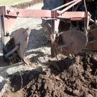 گاوآهن مشهد