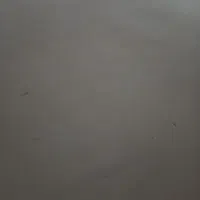 گچکاری و لکه گیری