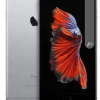 ip0n 6سیکس64جافطه آکبند خشک silverallA نونو