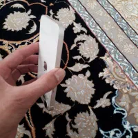 ایفون ۱۳ نرمال|موبایل|قم, چهل درخت‎|دیوار