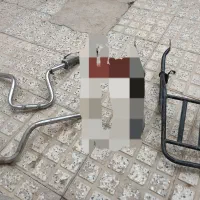 تکبندو فرمون