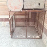 تور بزرگ برای پرنده|لوازم جانبی حیوانات|نیک شهر, |دیوار