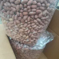 بادام زمینی تازه|خوردنی و آشامیدنی|تهران, صد دستگاه|دیوار