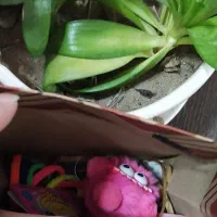 عروسکهای خوشگل به مناسبت روزدختر|اسباب‌‌بازی|عجب شیر, |دیوار