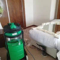 مبل شوی قالیشوی صدف